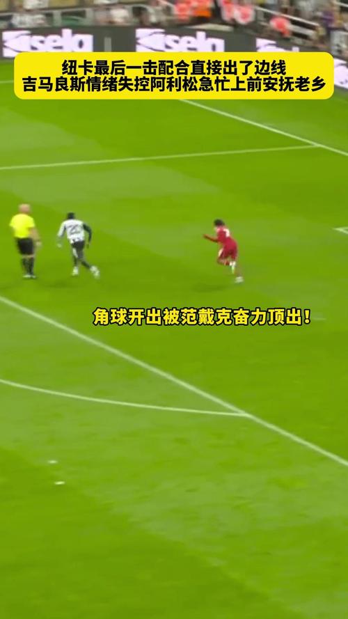 英媒：纽卡在6月拒绝曼城对吉马良斯的询价，后者随后签赖因德斯