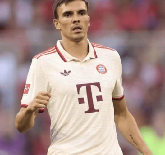 买断费2700万镑！英媒：热刺倾向于买断30岁中场帕利尼亚