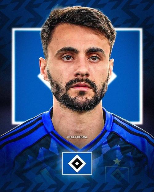 德媒:汉堡支付不起法比奥维埃拉2000万欧元的买断费