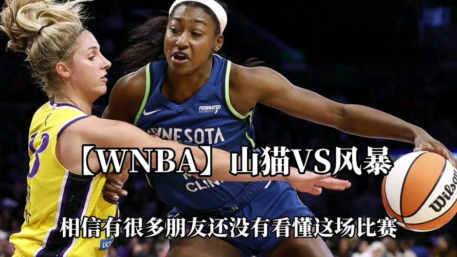 再度现场支持水星队！哈登场边观战WNBA季后赛水星VS山猫