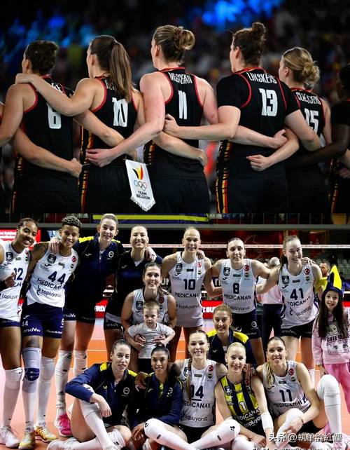 26女篮世界杯预选赛分组:中国&马里&南苏丹&比利时&巴西&捷克A组