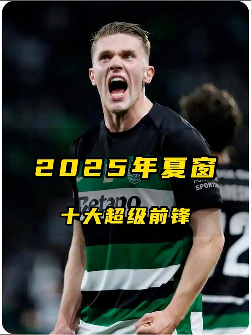 今夏新援最快攻入首球排名:埃基蒂克4分钟居首,博尼5分钟次席