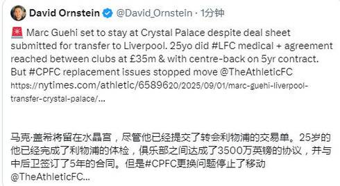 卫报:前水晶宫老板面临9700万美元索赔,多俱乐部集团陷财务纠纷