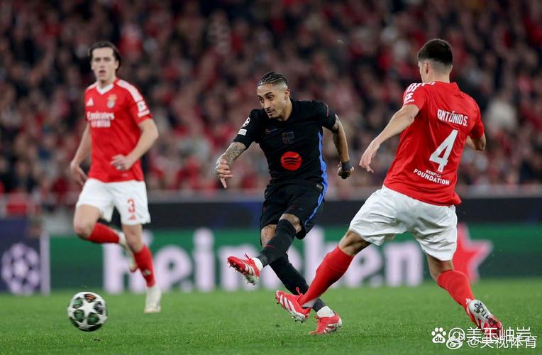 防守稳固！英超球队3场欧冠均零封对手，马竞本菲卡黄潜难获一球