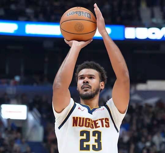 阿德尔曼谈卡梅隆-约翰逊肩伤:他说有点像神经刺痛 今天他会出战