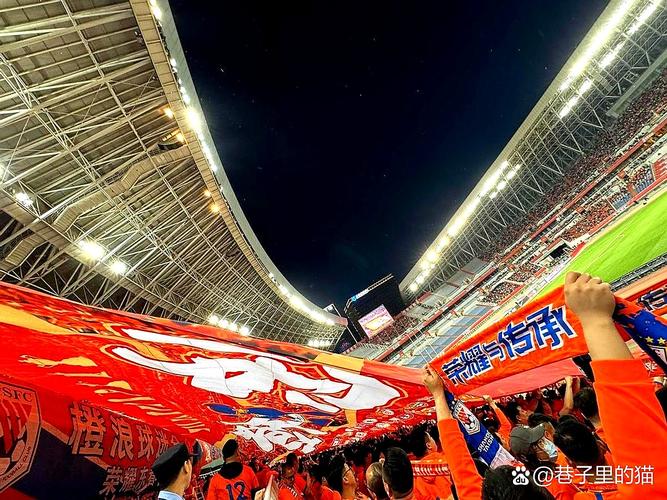 2025年的最后一个主场圆满结束，感谢所有支持泰山队的球迷们