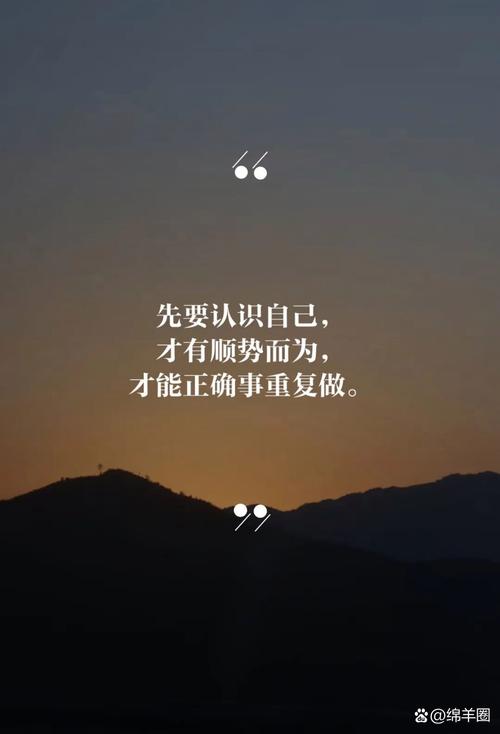 被下放！解说：小杨需要两头跑了 静下心来抓住机会好好提升自己